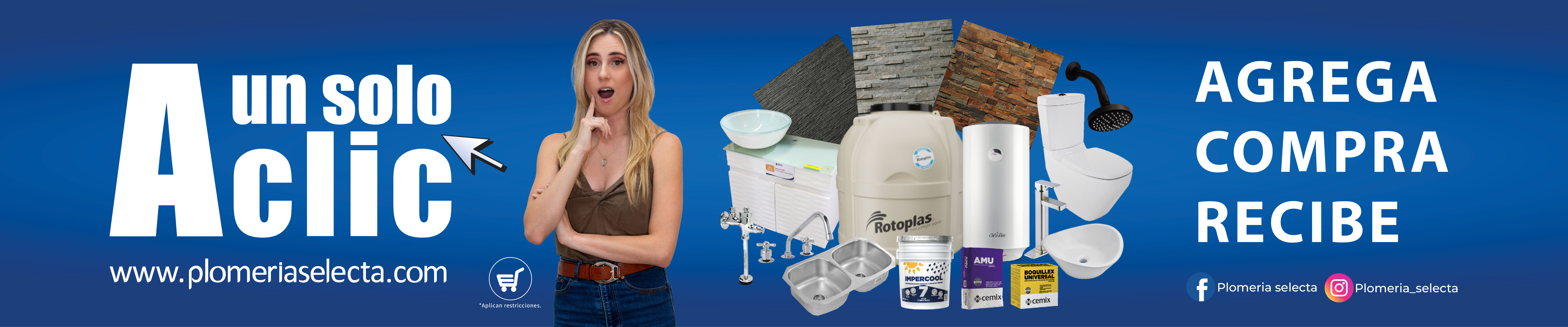 Plomeria selecta banners